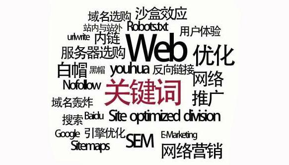 高密SEO快排服务快速上首页的背后
