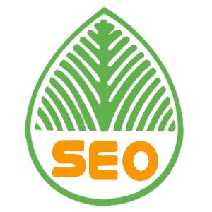 高密提升网站移动适配的注意事项